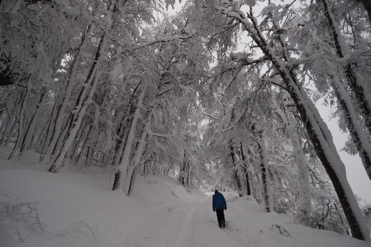 Un invierno virtual en Bariloche